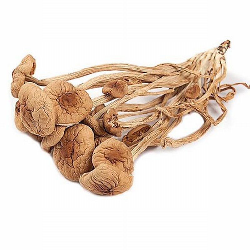 蔬菜食材配送標(biāo)書(shū)怎么做