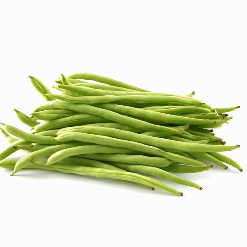 四季豆