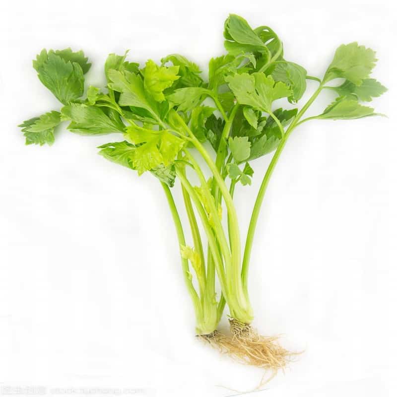 香芹
